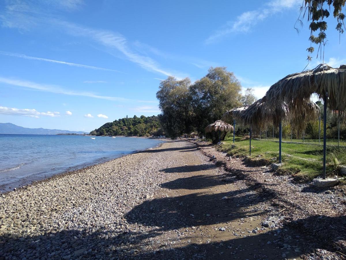 ArkítsaKalypso Relaxing Shelter公寓 外观 照片