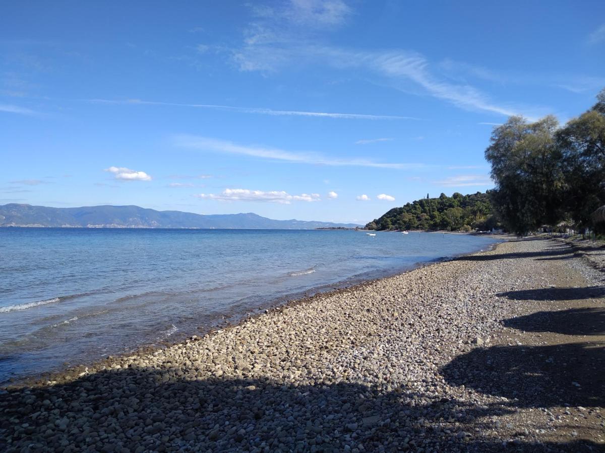 ArkítsaKalypso Relaxing Shelter公寓 外观 照片